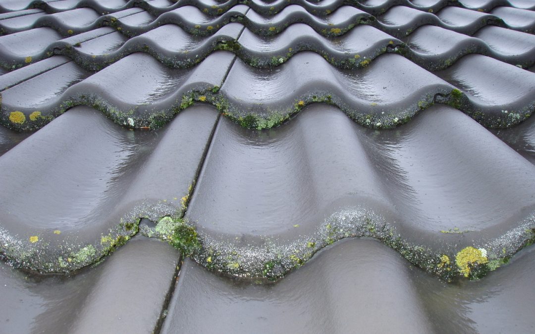 Roof Maintenance: How To