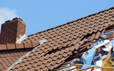 Common Signs of Roof Damage